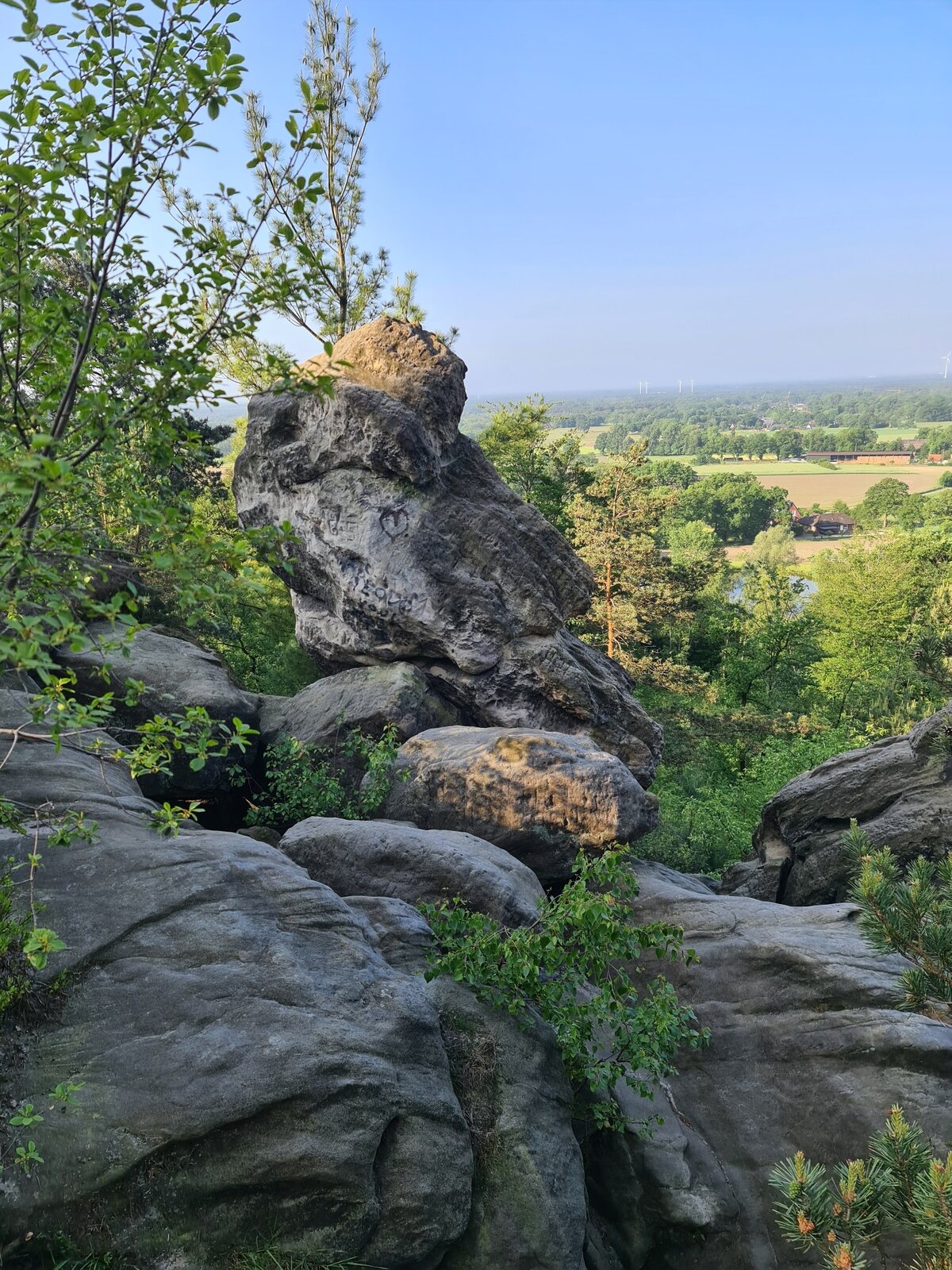 Markante Sandsteinfelsen und gr&uuml;ner Wald an den D&ouml;renther Klippen
